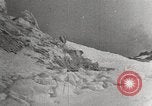Image attraper le joint Diomedes Islands Alaska USA, 1914, de la seconde 26 séquences d'archives historiques vidéo 65675065856