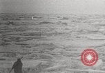Image attraper le joint Diomedes Islands Alaska USA, 1914, de la seconde 44 séquences d'archives historiques vidéo 65675065856