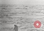 Image attraper le joint Diomedes Islands Alaska USA, 1914, de la seconde 46 séquences d'archives historiques vidéo 65675065856