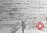 Image attraper le joint Diomedes Islands Alaska USA, 1914, de la seconde 47 séquences d'archives historiques vidéo 65675065856