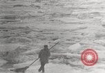 Image attraper le joint Diomedes Islands Alaska USA, 1914, de la seconde 49 séquences d'archives historiques vidéo 65675065856