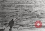 Image attraper le joint Diomedes Islands Alaska USA, 1914, de la seconde 52 séquences d'archives historiques vidéo 65675065856