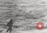 Image attraper le joint Diomedes Islands Alaska USA, 1914, de la seconde 53 séquences d'archives historiques vidéo 65675065856