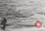 Image attraper le joint Diomedes Islands Alaska USA, 1914, de la seconde 55 séquences d'archives historiques vidéo 65675065856