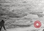 Image attraper le joint Diomedes Islands Alaska USA, 1914, de la seconde 56 séquences d'archives historiques vidéo 65675065856