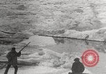Image attraper le joint Diomedes Islands Alaska USA, 1914, de la seconde 60 séquences d'archives historiques vidéo 65675065856