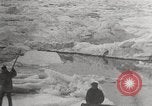 Image attraper le joint Diomedes Islands Alaska USA, 1914, de la seconde 61 séquences d'archives historiques vidéo 65675065856