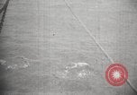 Image Marsouin ou Dolphin Océan Atlantique, 1921, de la seconde 21 séquences d'archives historiques vidéo 65675065860