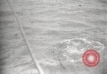 Image Marsouin ou Dolphin Océan Atlantique, 1921, de la seconde 23 séquences d'archives historiques vidéo 65675065860