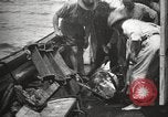 Image Marsouin ou Dolphin Océan Atlantique, 1921, de la seconde 33 séquences d'archives historiques vidéo 65675065860