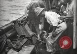 Image Marsouin ou Dolphin Océan Atlantique, 1921, de la seconde 36 séquences d'archives historiques vidéo 65675065860