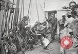 Image Marsouin ou Dolphin Océan Atlantique, 1921, de la seconde 39 séquences d'archives historiques vidéo 65675065860