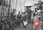 Image Marsouin ou Dolphin Océan Atlantique, 1921, de la seconde 40 séquences d'archives historiques vidéo 65675065860