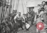 Image Marsouin ou Dolphin Océan Atlantique, 1921, de la seconde 41 séquences d'archives historiques vidéo 65675065860