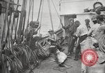 Image Marsouin ou Dolphin Océan Atlantique, 1921, de la seconde 42 séquences d'archives historiques vidéo 65675065860