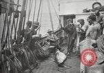 Image Marsouin ou Dolphin Océan Atlantique, 1921, de la seconde 44 séquences d'archives historiques vidéo 65675065860