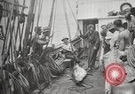 Image Marsouin ou Dolphin Océan Atlantique, 1921, de la seconde 45 séquences d'archives historiques vidéo 65675065860