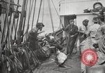 Image Marsouin ou Dolphin Océan Atlantique, 1921, de la seconde 47 séquences d'archives historiques vidéo 65675065860