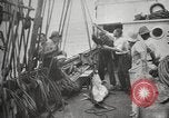 Image Marsouin ou Dolphin Océan Atlantique, 1921, de la seconde 48 séquences d'archives historiques vidéo 65675065860