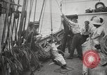 Image Marsouin ou Dolphin Océan Atlantique, 1921, de la seconde 49 séquences d'archives historiques vidéo 65675065860