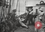 Image Marsouin ou Dolphin Océan Atlantique, 1921, de la seconde 50 séquences d'archives historiques vidéo 65675065860