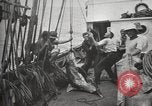 Image Marsouin ou Dolphin Océan Atlantique, 1921, de la seconde 51 séquences d'archives historiques vidéo 65675065860
