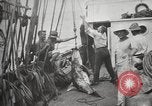 Image Marsouin ou Dolphin Océan Atlantique, 1921, de la seconde 52 séquences d'archives historiques vidéo 65675065860