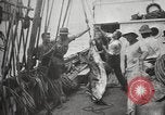 Image Marsouin ou Dolphin Océan Atlantique, 1921, de la seconde 53 séquences d'archives historiques vidéo 65675065860