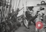 Image Marsouin ou Dolphin Océan Atlantique, 1921, de la seconde 54 séquences d'archives historiques vidéo 65675065860