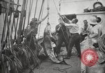 Image Marsouin ou Dolphin Océan Atlantique, 1921, de la seconde 55 séquences d'archives historiques vidéo 65675065860