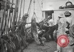 Image Marsouin ou Dolphin Océan Atlantique, 1921, de la seconde 56 séquences d'archives historiques vidéo 65675065860