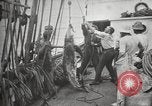 Image Marsouin ou Dolphin Océan Atlantique, 1921, de la seconde 57 séquences d'archives historiques vidéo 65675065860
