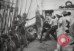 Image Marsouin ou Dolphin Océan Atlantique, 1921, de la seconde 59 séquences d'archives historiques vidéo 65675065860