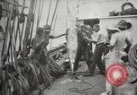 Image Marsouin ou Dolphin Océan Atlantique, 1921, de la seconde 60 séquences d'archives historiques vidéo 65675065860
