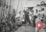 Image Marsouin ou Dolphin Océan Atlantique, 1921, de la seconde 62 séquences d'archives historiques vidéo 65675065860