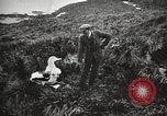 Image Expédition en Antarctique Ernest Shackleton Antarctique de Géorgie du Sud, 1921, de la seconde 48 séquences d'archives historiques vidéo 65675065861