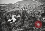 Image Expédition en Antarctique Ernest Shackleton Antarctique de Géorgie du Sud, 1921, de la seconde 51 séquences d'archives historiques vidéo 65675065861