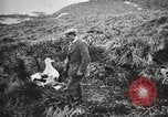 Image Expédition en Antarctique Ernest Shackleton Antarctique de Géorgie du Sud, 1921, de la seconde 52 séquences d'archives historiques vidéo 65675065861