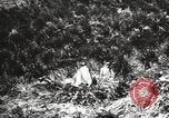 Image pingouins au cours de Shackleton expédition Géorgie du Sud, 1921, de la seconde 52 séquences d'archives historiques vidéo 65675065862