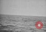 Immagine di Vascello norvegese Oceano atlantico, 1921, secondo 21 filmato di repertorio 65675065865