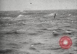 Immagine di Vascello norvegese Oceano atlantico, 1921, secondo 42 filmato di repertorio 65675065865