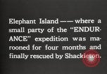 Immagine di Spedizione in Antartide Elephant Island, 1921, secondo 11 filmato di repertorio 65675065866