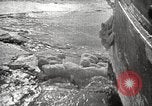Image of Shackleton final Antarctic expedition Antarctic Ocean, 1921, second 19 stock footage video 65675065869