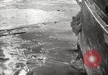Image of Shackleton final Antarctic expedition Antarctic Ocean, 1921, second 21 stock footage video 65675065869