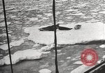 Image of Antarctic expedition Antarctic Ocean, 1922, second 33 stock footage video 65675065871