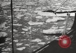 Image of Antarctic expedition Antarctic Ocean, 1922, second 37 stock footage video 65675065871