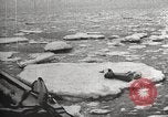 Image of Antarctic expedition Antarctic Ocean, 1922, second 47 stock footage video 65675065871