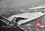 Image of Antarctic expedition Antarctic Ocean, 1922, second 53 stock footage video 65675065871