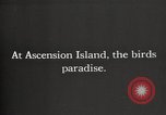 Standbild Vögel auf Ascension Island Himmelfahrtsinsel, 1922, aus Sekunde 1 historischem Filmmaterial Videoclip 65675065872