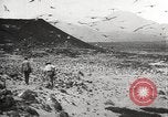 Standbild Vögel auf Ascension Island Himmelfahrtsinsel, 1922, aus Sekunde 4 historischem Filmmaterial Videoclip 65675065872